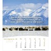Mongolian postcard calendar 2027 - Life for you