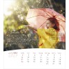 Persian postcard calendar 2027 - Life for you