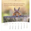 Polish postcard calendar 2027 - Life for you