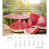 Polish postcard calendar 2027 - Life for you