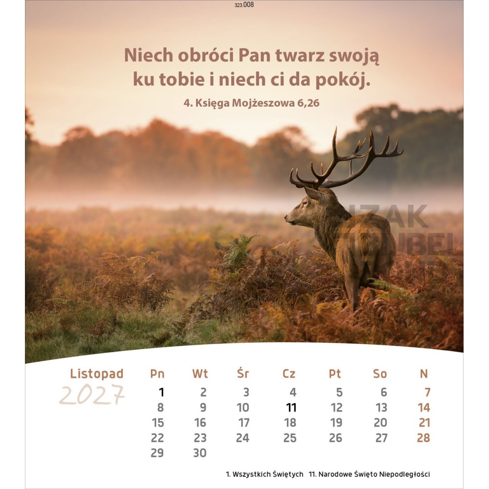 Polish postcard calendar 2027 - Life for you