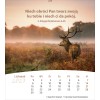 Polish postcard calendar 2027 - Life for you