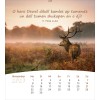 Romani postcard calendar 2027 - Life for you