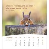 Russische ansichtkaartenkalender 2027 - Leven voor jou