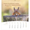 Serbian postcard calendar 2027 - Life for you