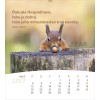 Slovak postcard calendar 2027 - Life for you