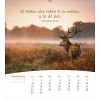 Spaanse ansichtkaartenkalender 2027 - Leven voor jou