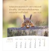 Thaise ansichtkaartenkalender 2027 - Leven voor jou