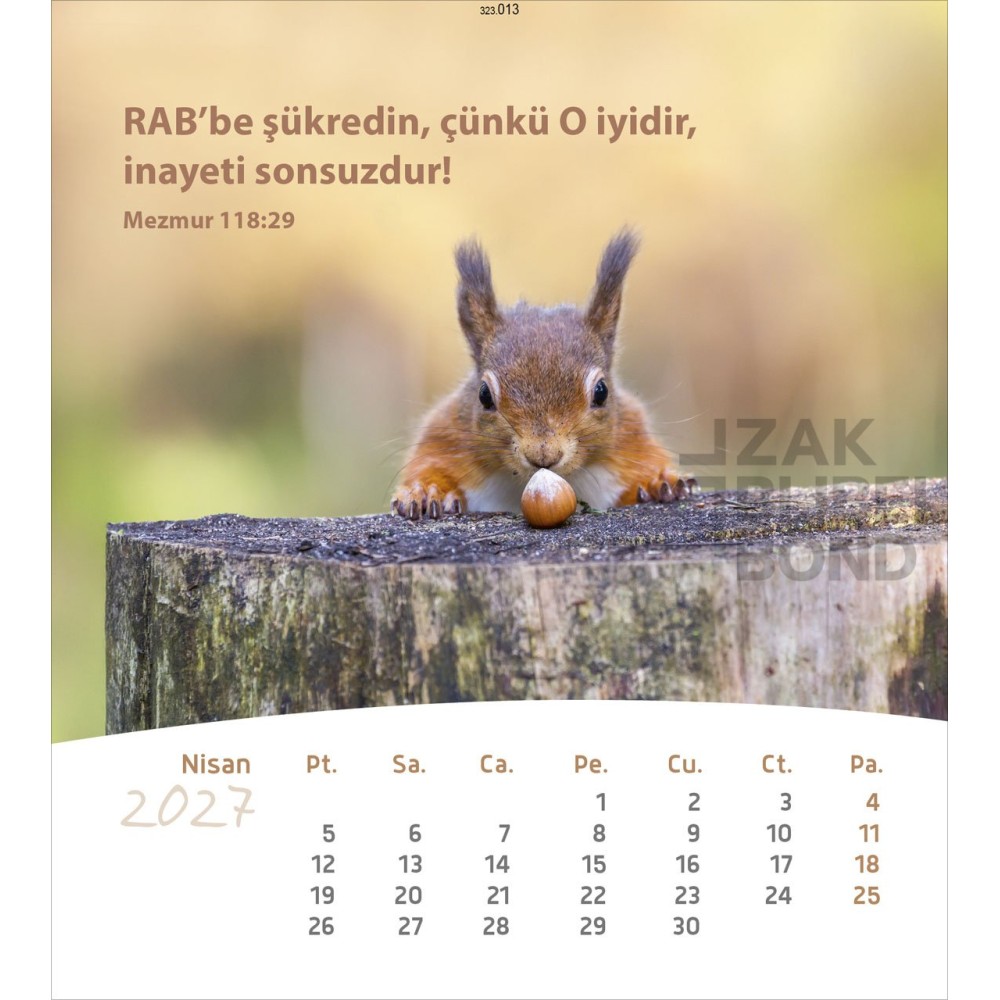 Turkish postcard calendar 2027 - Life for you