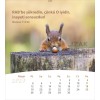 Turkish postcard calendar 2027 - Life for you