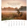 Turkish postcard calendar 2027 - Life for you