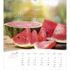 Urdu postcard calendar 2027 - Life for you