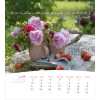 Dari postcard calendar 2027 - Life for you