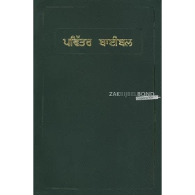 Punjabi Bible