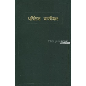 Punjabi Bijbel