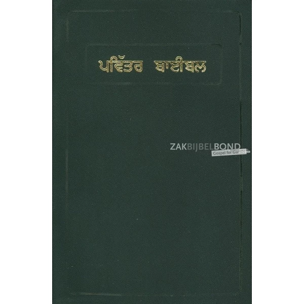 Punjabi Bible