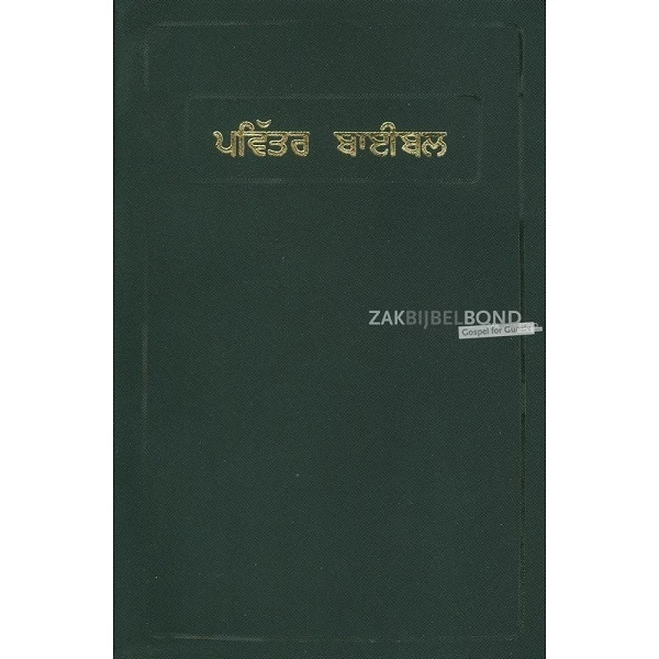 Punjabi Bijbel