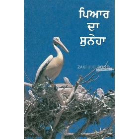Punjabi, Nieuw Testament, paperback