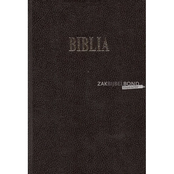 Roemeense Bijbel