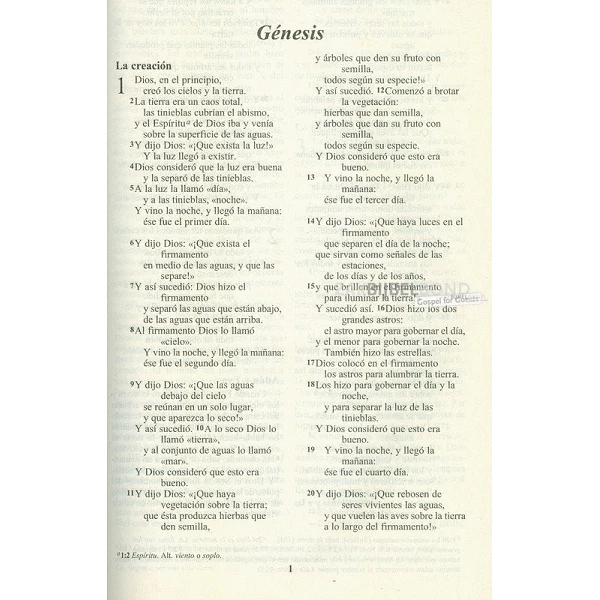 Spanish Bible in the Nueva Versión Internacional (NVI) - KIDS EDITION. Large size paperback
