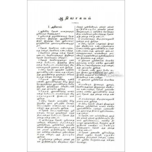 Tamil Bijbel flexibel