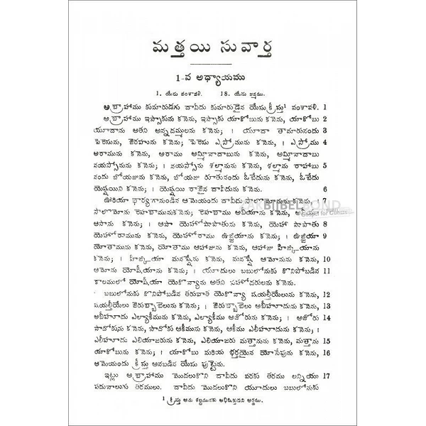 Telugu New Testament