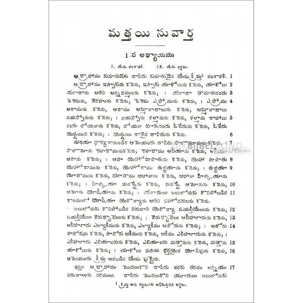 Telugu Nieuw Testament