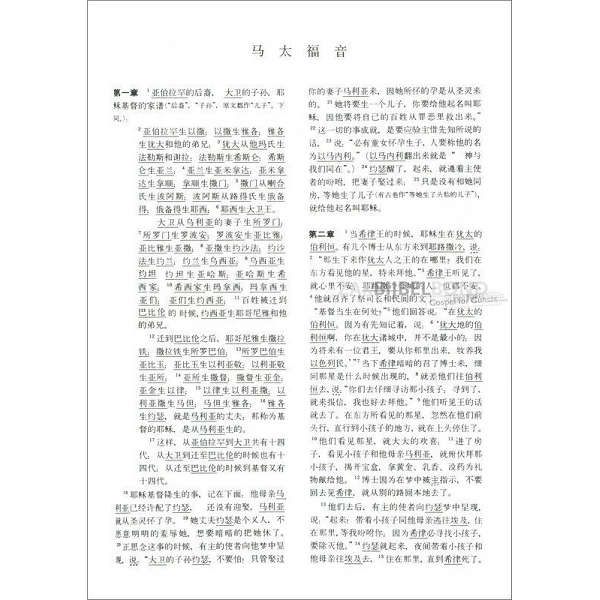 Chinees, Nieuw Testament + Psalmen, paperback