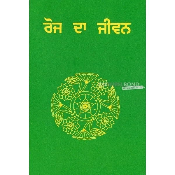 Punjabi, Evangelisatiepakket (5 boekjes met evangelische verhalen)