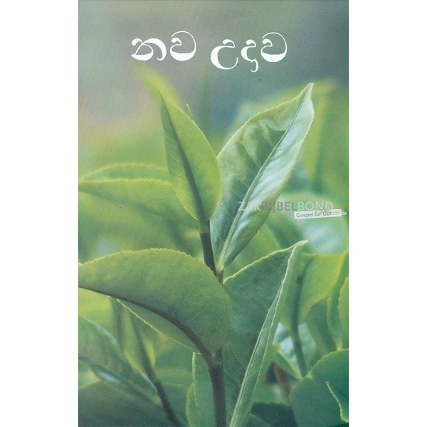 Singalees Nieuw Testament, New Revised Sinhala version 2006, paperback