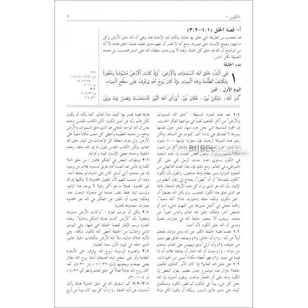 Arabic New Testament