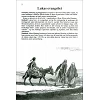 Deens Lukas-evangelie in groot formaat