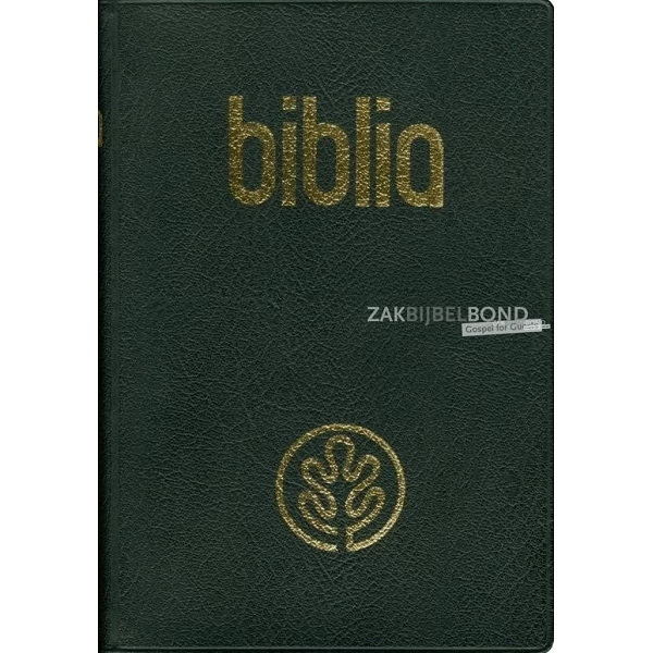 Baskische Bijbel, vinyl