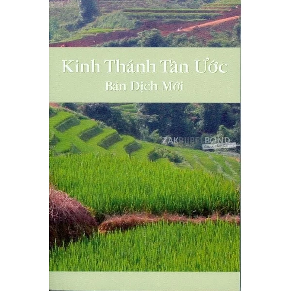 Vietnamese New Testament in contemporary Bible translation. Medium sized paperback.