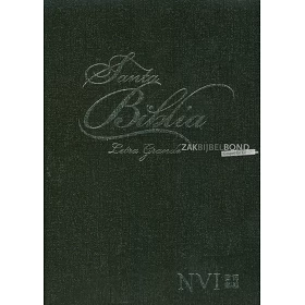 Spaanse Bijbel NVI Grote Letter