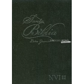 Spanish Bible NVI Large Print