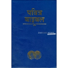 Nepalese Bijbel, Easy-to-Read version, vinyl kaft