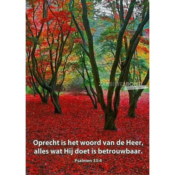 Nederlands, Ansichtkaart, 12 verschillende tekstkaarten met foto.