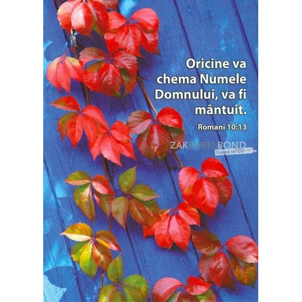 Roemeense ansichtkaarten met bijbeltekst