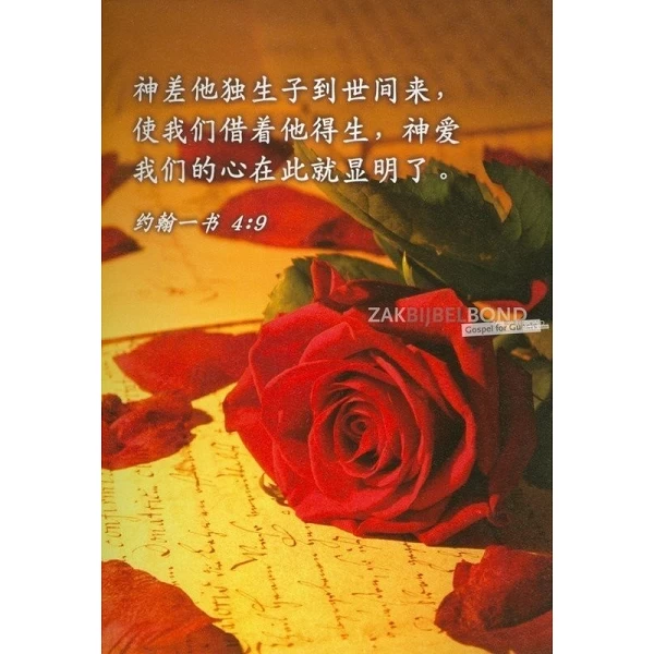 Chinese Ansichtkaarten, set van 12 verschillende tekstkaarten met foto