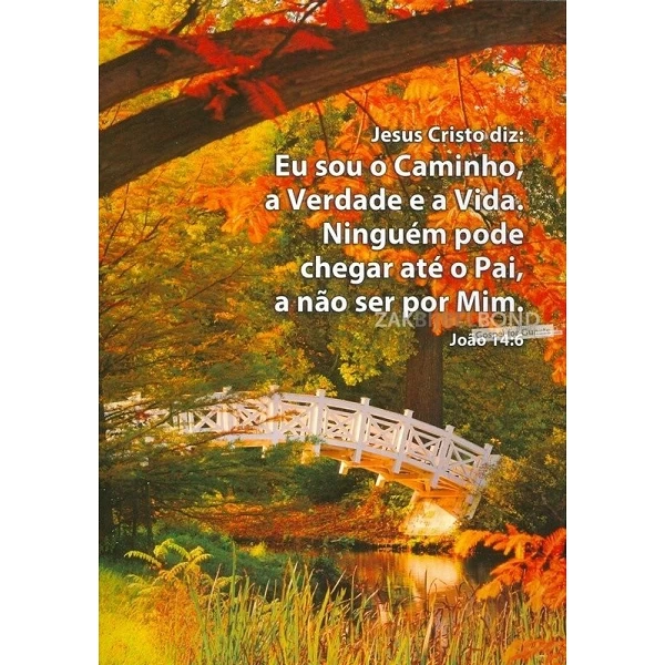 Portugees, Ansichtkaart, 12 verschillende tekstkaarten met foto
