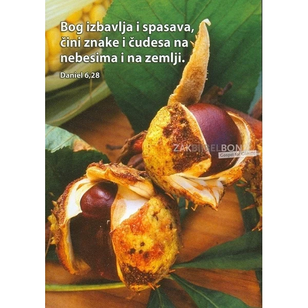 Kroatisch, Ansichtkaart, 12 verschillende tekstkaarten met foto