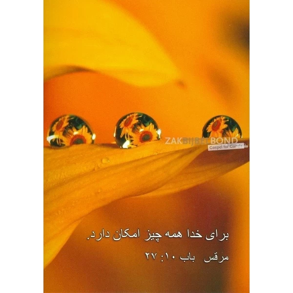 Perzische Ansichtkaarten, set van 12 verschillende tekstkaarten met foto