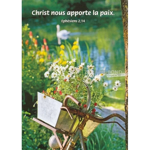 Frans, Ansichtkaart, 12 verschillende tekstkaarten met foto