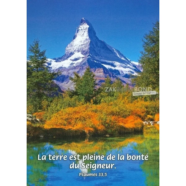 Frans, Ansichtkaart, 12 verschillende tekstkaarten met foto