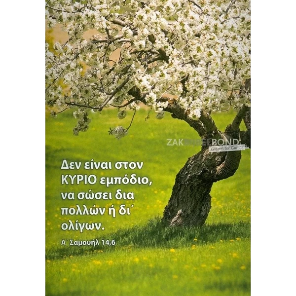 Griekse Ansichtkaarten, set van 12 verschillende tekstkaarten met foto