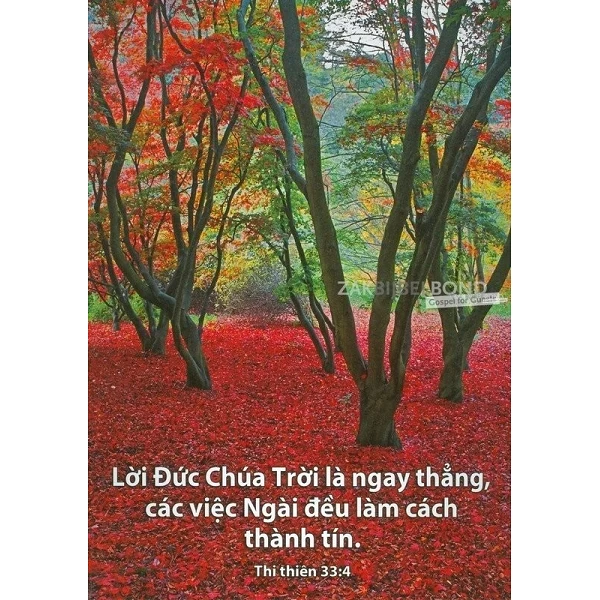 Vietnamees, Ansichtkaart, 12 verschillende tekstkaarten met foto