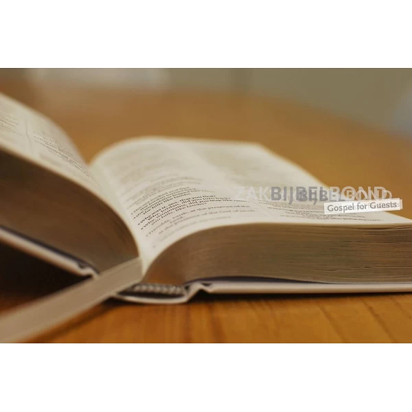 Engelse Bijbel in de New International Version (NIV) - POCKET WHITE GIFT - Medium formaat met zilversnede en harde kaft