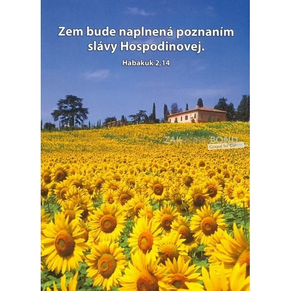 Slowaaks, Ansichtkaart, 12 verschillende tekstkaarten met foto
