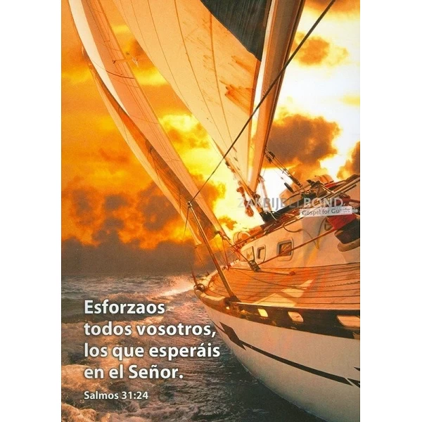 Spaans, Ansichtkaart, 12 verschillende tekstkaarten met foto
